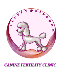 Cockapoo breeders